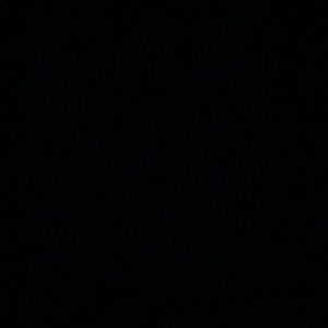 Meet your Posher, Lola